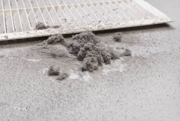 Best HVAC Duct Inspection Services  in Danvle, IL