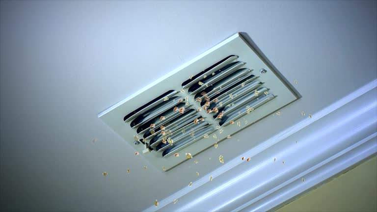 Best Best Air Duct Cleaning Company  in Danvle, IL