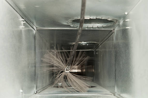 Best Dryer Vent Cleaning Services  in Danvle, IL