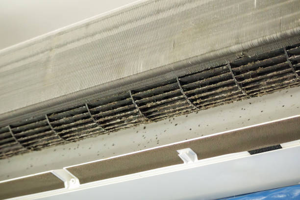 Best Air Duct Cleaning Near Me  in Danvle, IL