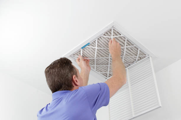 Best Ventilation Cleaning Services  in Danvle, IL